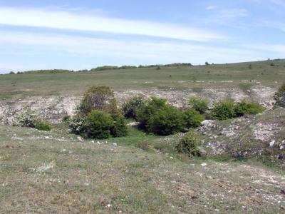 Прикрепленное изображение: DSCF8475.jpg